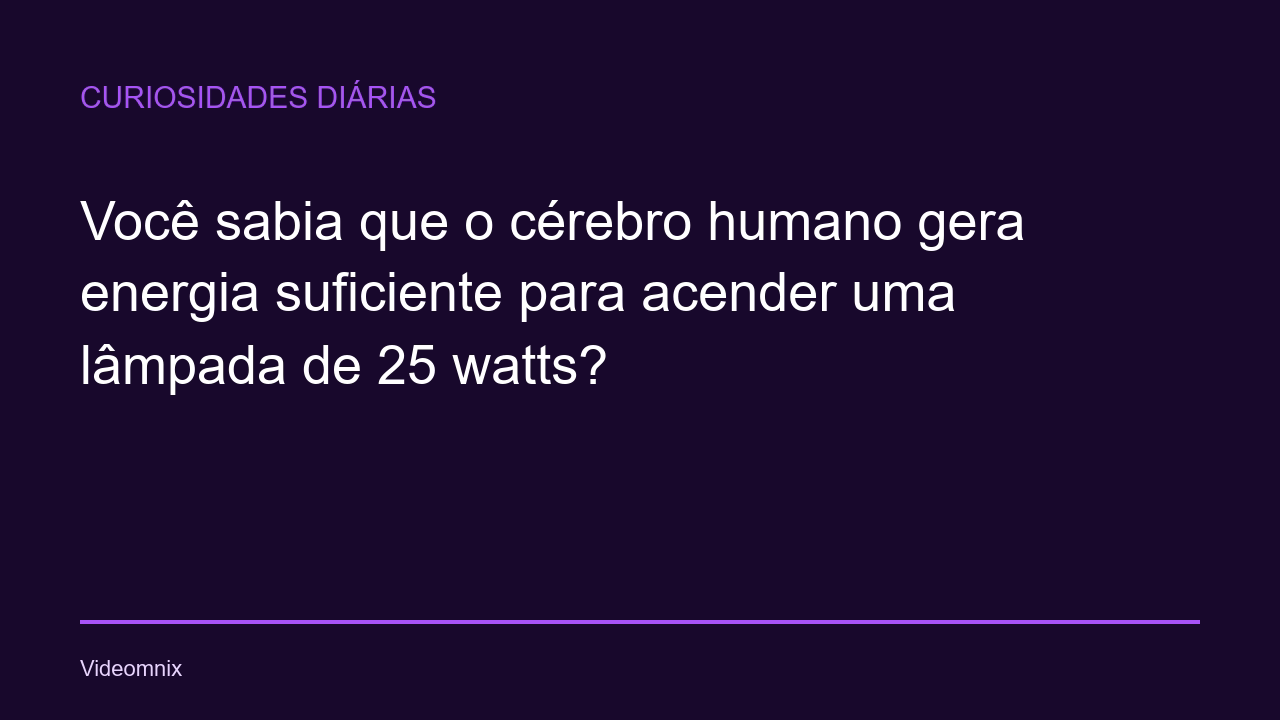 Curiosidades Diárias